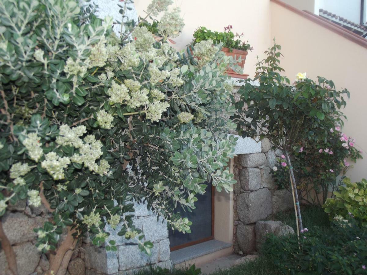 Casa Elena Cala Gonone Exterior foto
